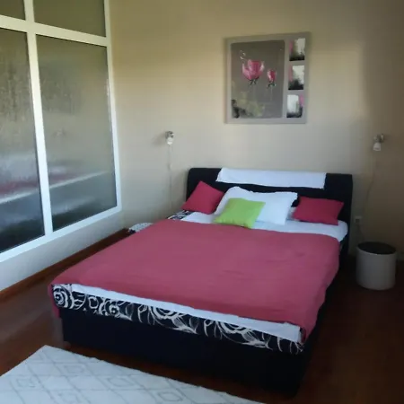 Apartment Mate